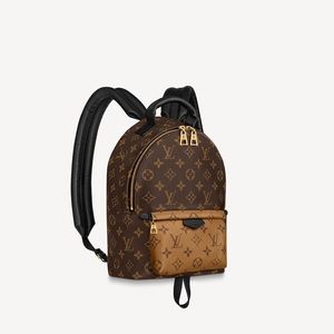Louis Vuitton Palm Springs PM backpack